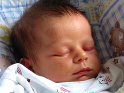 Photo n� 5 (cliquez pour agrandir)